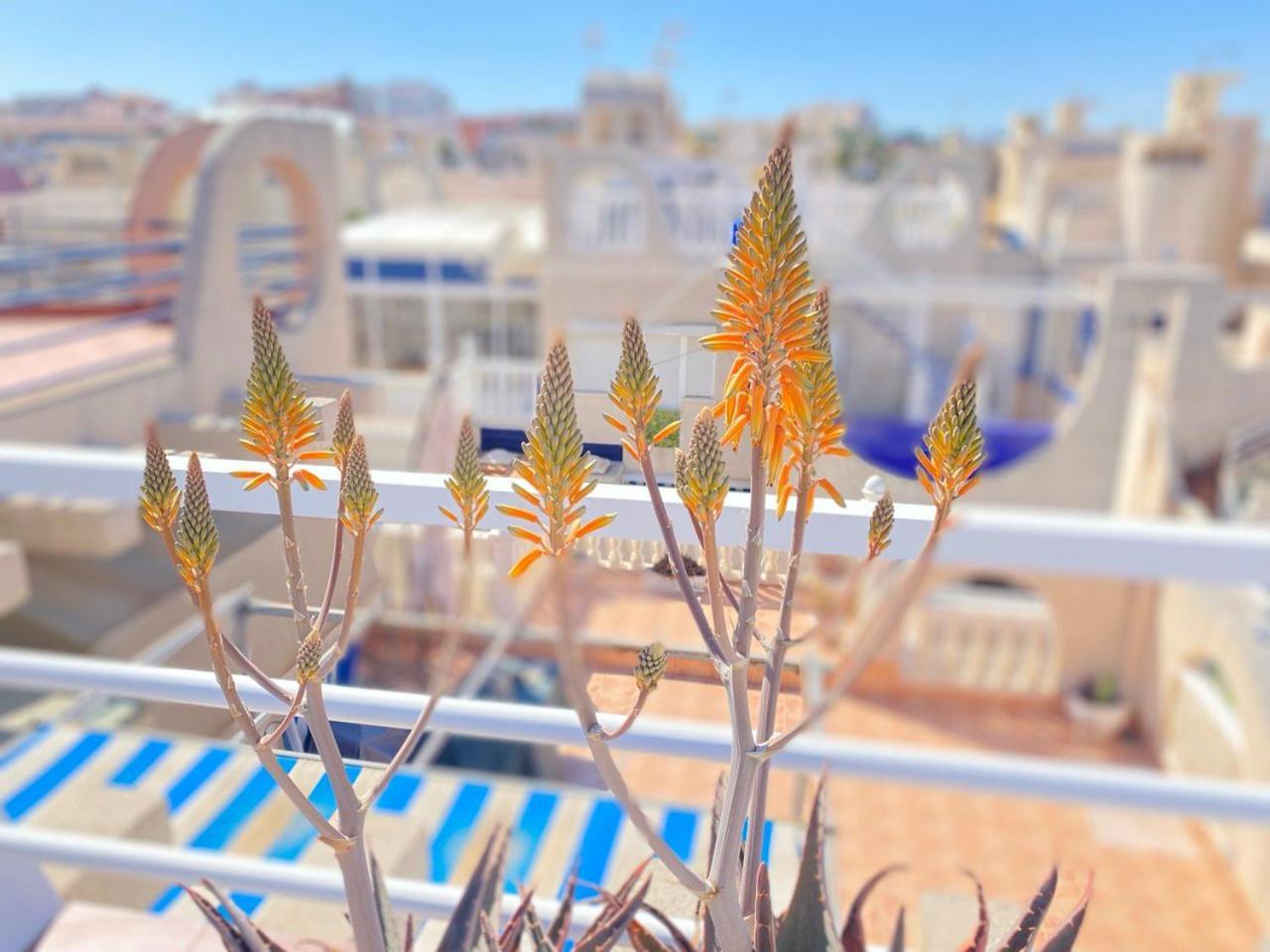 Sea View Apartments Dunas De La Mata Torrevieja Zewnętrze zdjęcie